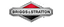 Briggs & Stratton